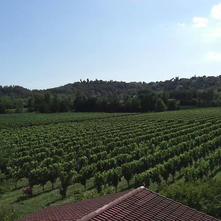 Il Vigneto Affittacamere Manerba del Garda Exteriör bild