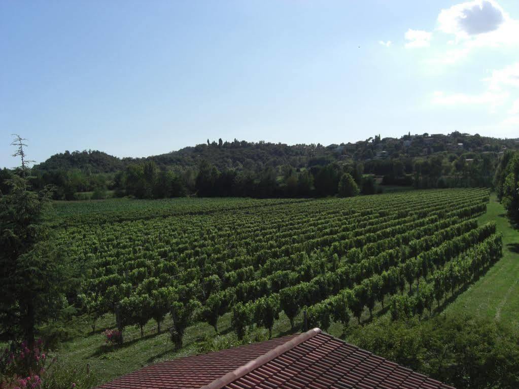 Il Vigneto Affittacamere Manerba del Garda Exteriör bild