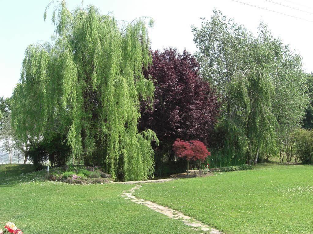 Il Vigneto Affittacamere Manerba del Garda Exteriör bild