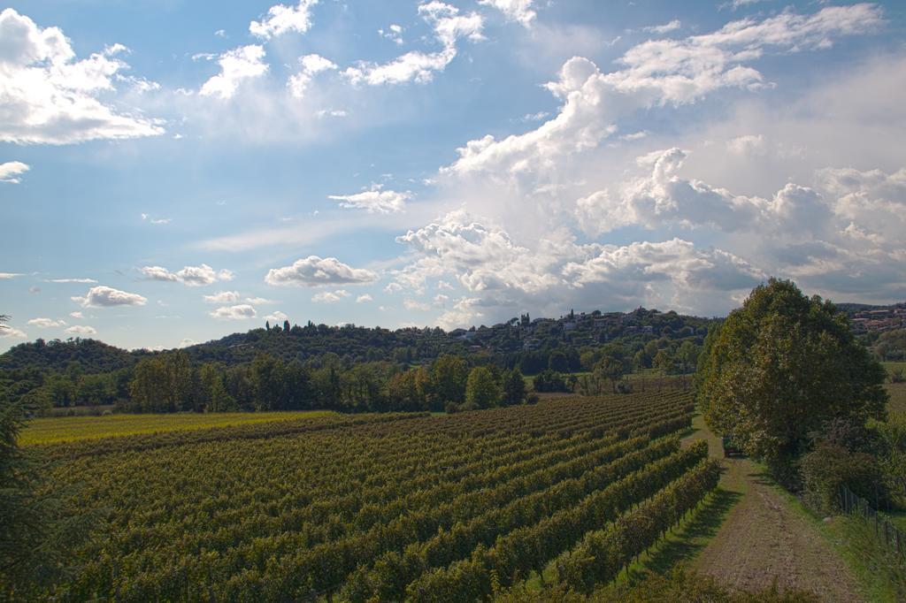 Il Vigneto Affittacamere Manerba del Garda Exteriör bild
